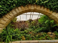 Royal Tasmanian Botanical Gardens (6)