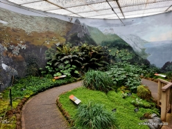 Royal Tasmanian Botanical Gardens. Subantarctic plants