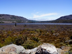 Pine Lake Reserve (2)