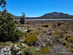 Pine Lake Reserve (34)