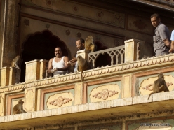 _118 Khania-Balaji. Galtaji (Monkey temple)