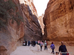 Petra. Gorge al-Siq (10)