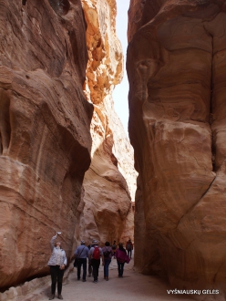 Petra. Gorge al-Siq (12)