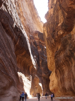 Petra. Gorge al-Siq (7)