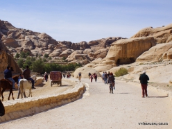 Petra. Road to the ancient city (7)