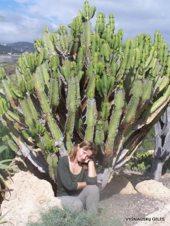 Near Los Christianos. Cactus park (29)