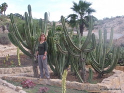 Near Los Christianos. Cactus park (5)
