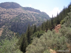 Wadi Kadisha (Kadisha Valley) (4)