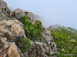 Pico do Arieiro (3)