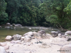 Perak. Near Tapah. Hutan Lipur Kuala Woh (2)