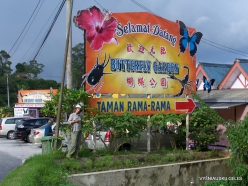 Pahang. Near Tanah Rata. Cameron Highland Butterfly Farm (1)