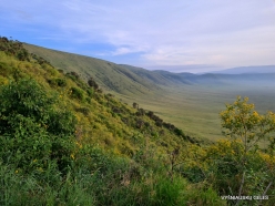 Ngorongoro Crater (2)