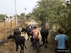 _4 Villages around Ranthambhore