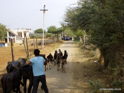 _5 Villages around Ranthambhore