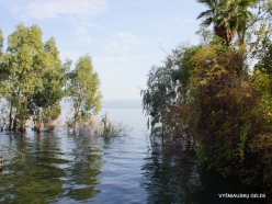 Capernaum. Sea of Galilee (Lake Tiberias, Kinneret) (2)