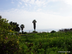 Capernaum. Sea of Galilee (Lake Tiberias, Kinneret)