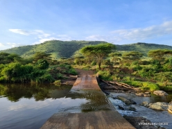 River Savannah