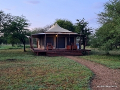 Wild Africa Tented Camp