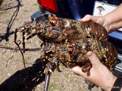Near Arher Beach. Lunch. Lobsters