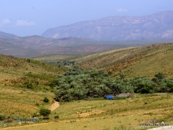 Wadi Kalysan (1)