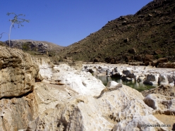 Wadi Kalysan (16)