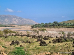 Wadi Kalysan (4)