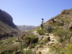 Wadi Kalysan (8-1)