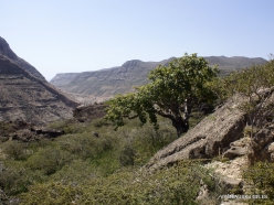 Wadi Kalysan (8)