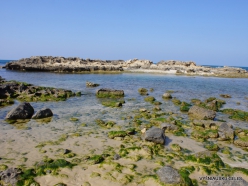 Habonim Beach Nature Reserve. Beach (8)