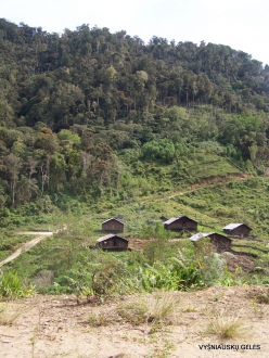 West Papua. Arfak Mountains. Hingk. Papuan village (3)