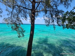 Changuu (Prison) Island (12)