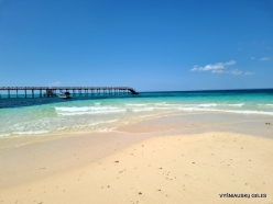 Changuu (Prison) Island (16)