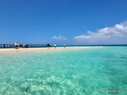 Changuu (Prison) Island (8)