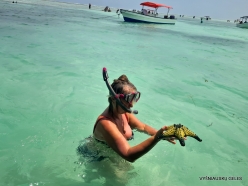 Paje Beach. Starfish (10)