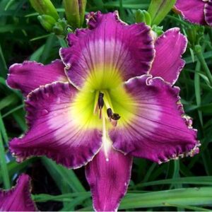 ‘Jazz After Five’