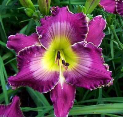 ‘Jazz After Five’