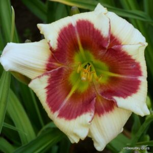 'Taunus Skyline' (2)