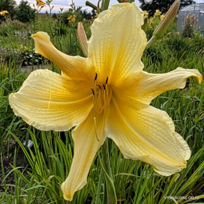 ‘Blast from the Past’ (2)