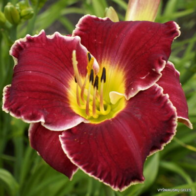 Call Off the Search (2)