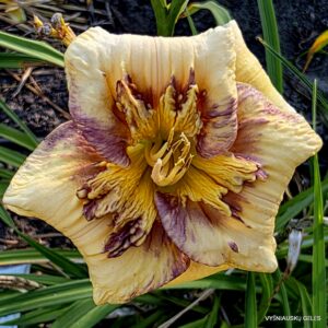 One Nation Under God (2)