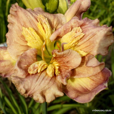 ‘Sculpted in Vermont’ (2)