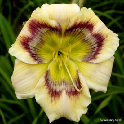 Garden Design Garden Design